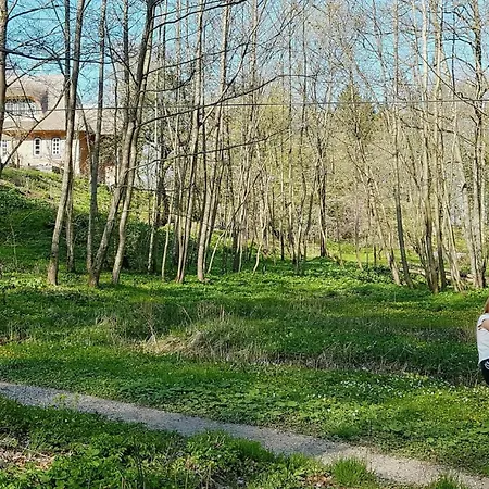 Dom wakacyjny Historic Thatched In Holstein Switzerland Schonwalde am Bungsberg