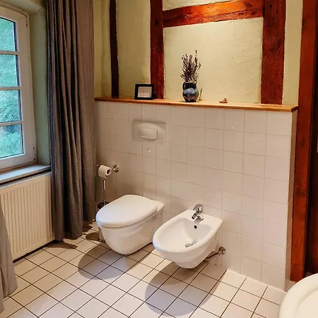 Historic Thatched In Holstein Switzerland Schonwalde am Bungsberg